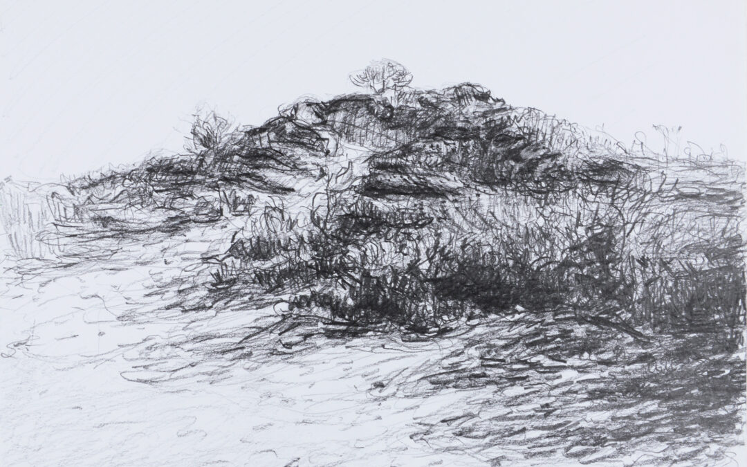 Study of the Dunes 02