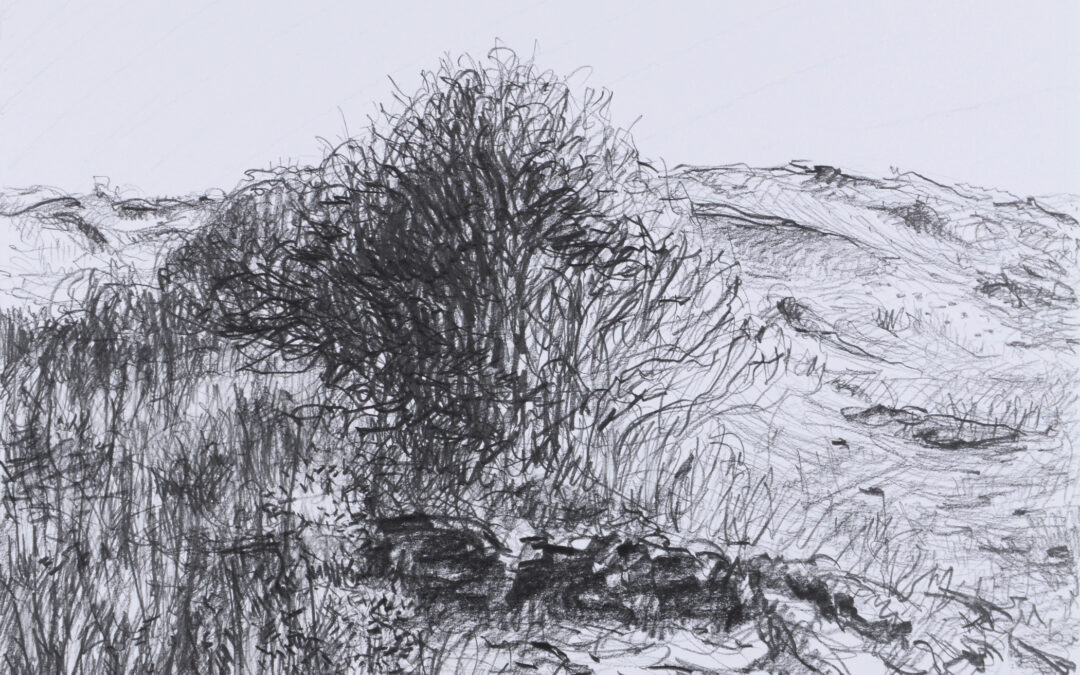 Study of the Dunes 03