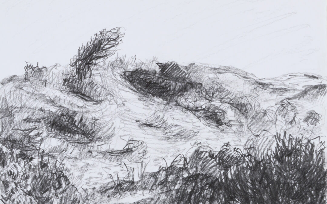 Study of the Dunes 01